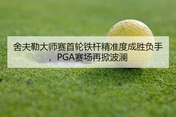 she-fu-lei-da-shi-sai-shou-lun-tie-gan-jing-zhun-du-cheng-sheng-fu-shou-sai-chang-zai-xian-bo-lan-2-430.jpg