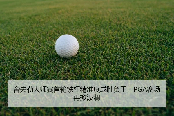 she-fu-lei-da-shi-sai-shou-lun-tie-gan-jing-zhun-du-cheng-sheng-fu-shou-sai-chang-zai-xian-bo-lan-3-841.jpg