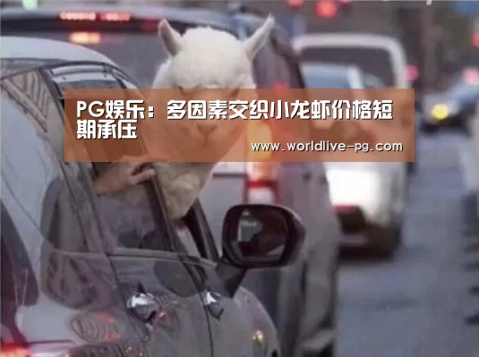 PG娱乐:多因素交织小龙虾价格短期承压(图1) PG篮球